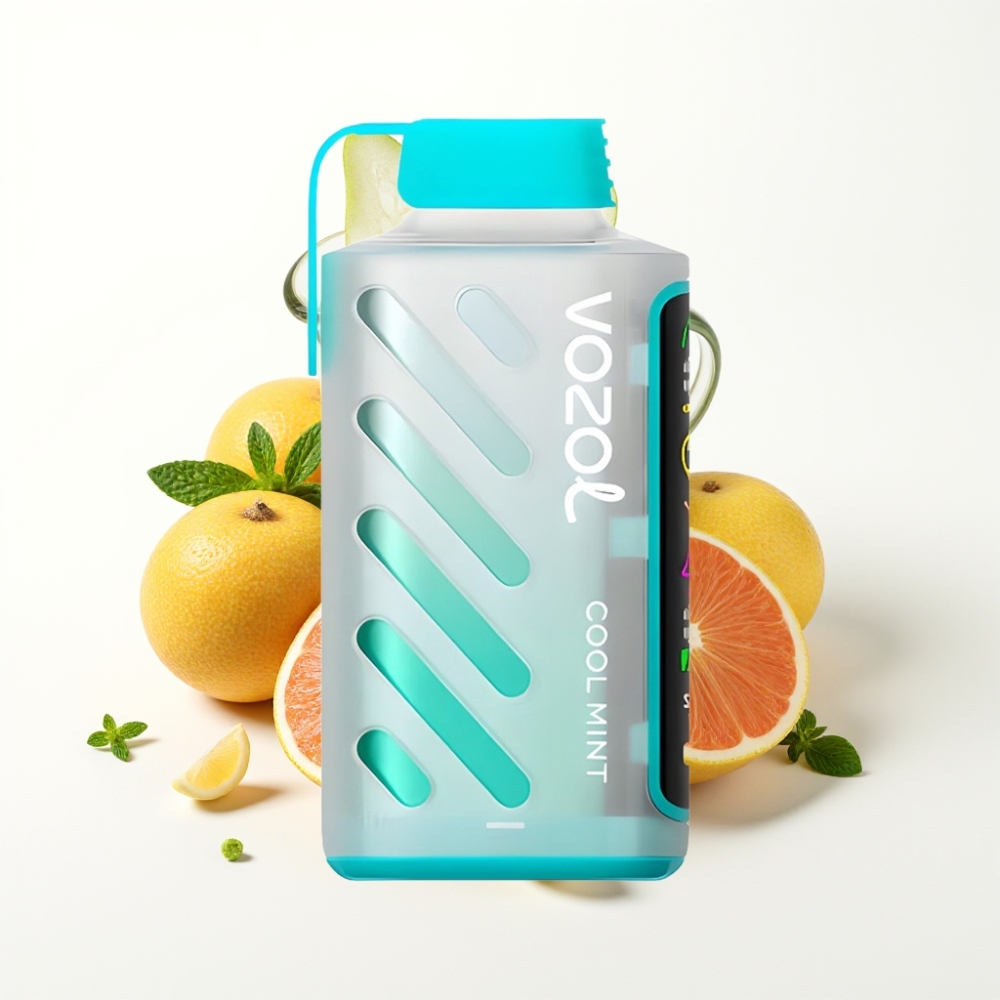 VOZOL Gear Power 20000 Puffs Dual Mesh Cool Mint Disposable Vape