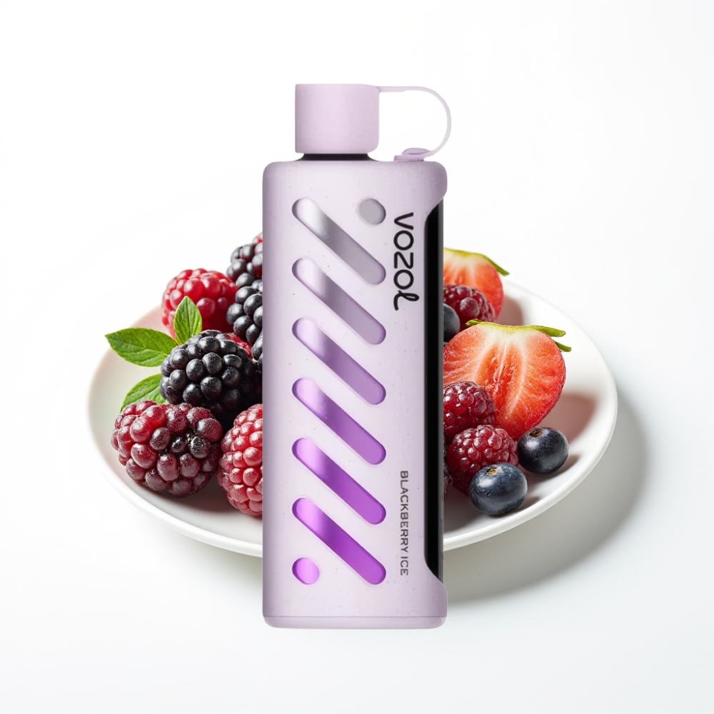 VOZOL Gear Shisha 25000 Puffs Dual Mesh Blackberry Ice Disposable Vape