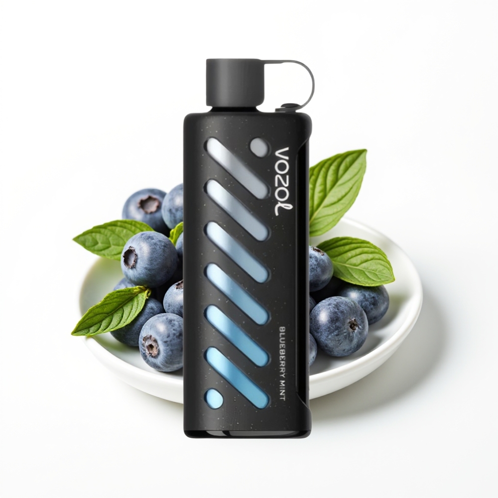 VOZOL Gear Shisha 25000 Puffs Dual Mesh Blueberry Mint Disposable Vape