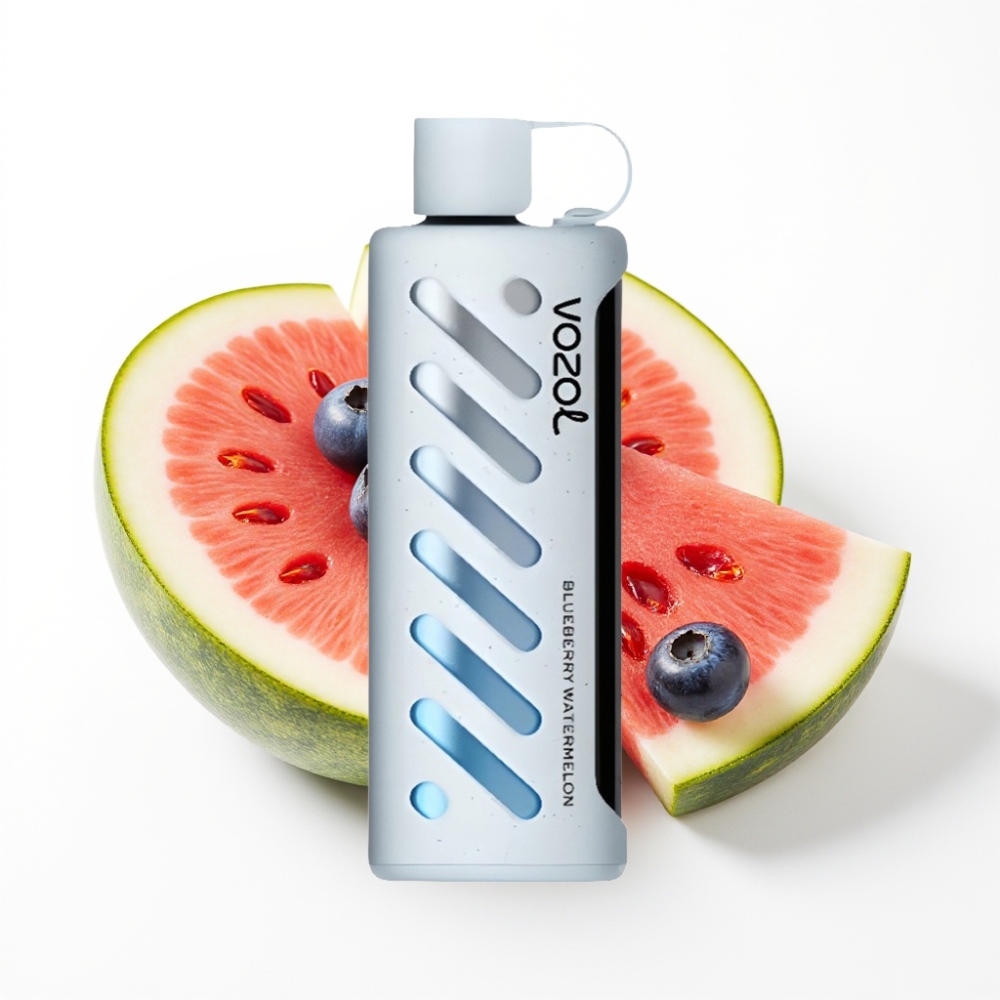 VOZOL Gear Shisha 25000 Puffs Dual Mesh Blueberry Watermelon Disposable Vape