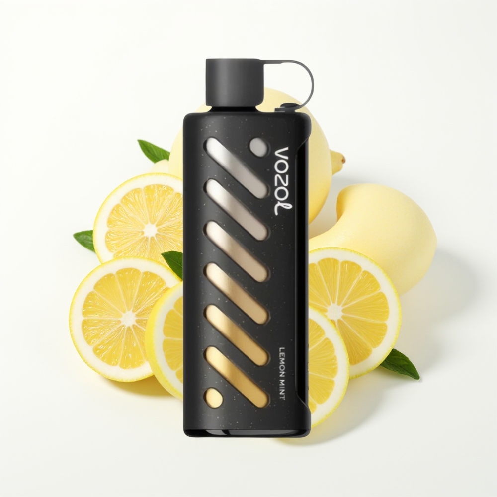 VOZOL Gear Shisha 25000 Puffs Dual Mesh Lemon Mint Disposable Vape