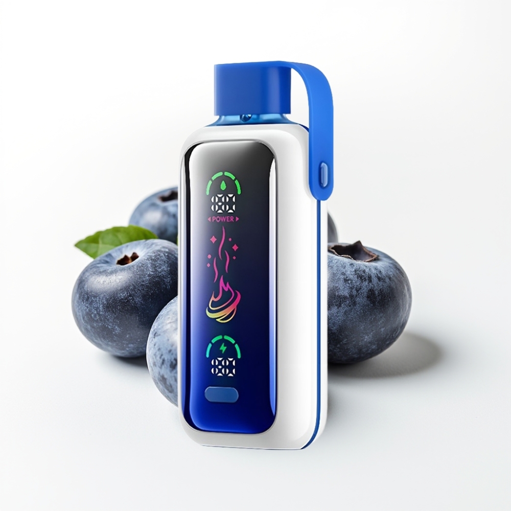 VOZOL Star 20000 Puffs Dual Mesh 2.2" HD Screen Blueberry Storm