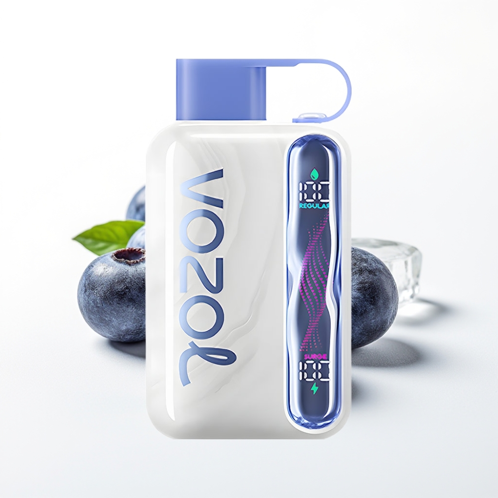 VOZOL STAR 40000 Puffs Disposable Vape Blueberry Ice 1000mAh Type-C