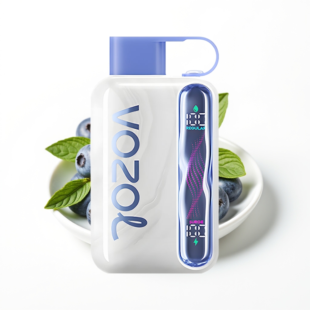 VOZOL STAR 40000 Puffs Disposable Vape Blueberry Mint 1000mAh Type-C