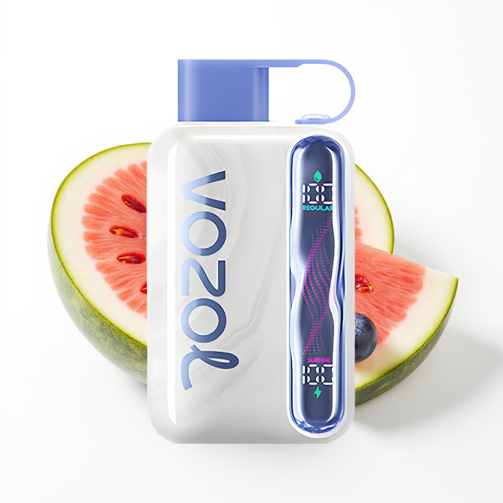 VOZOL STAR 40000 Puffs Disposable Vape Blueberry Watermelon 1000mAh Type-C