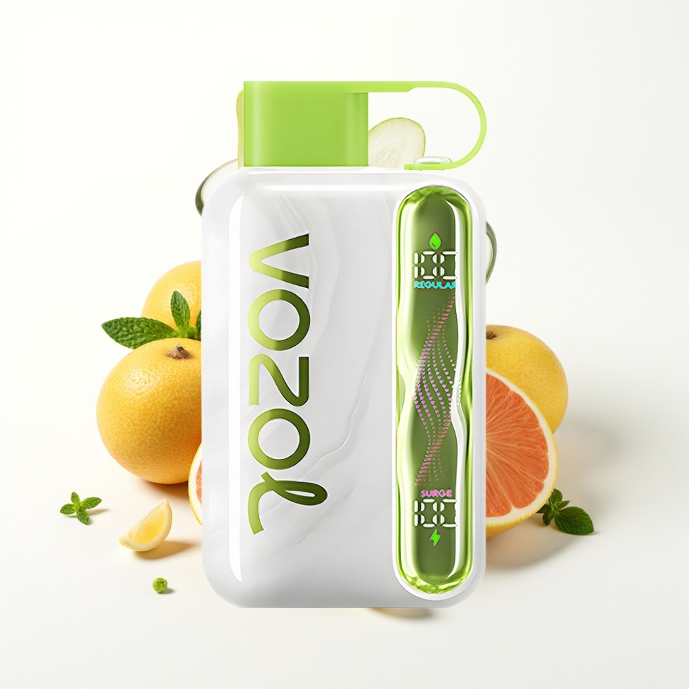 VOZOL STAR 40000 Puffs Disposable Vape Cool Mint 1000mAh Type-C