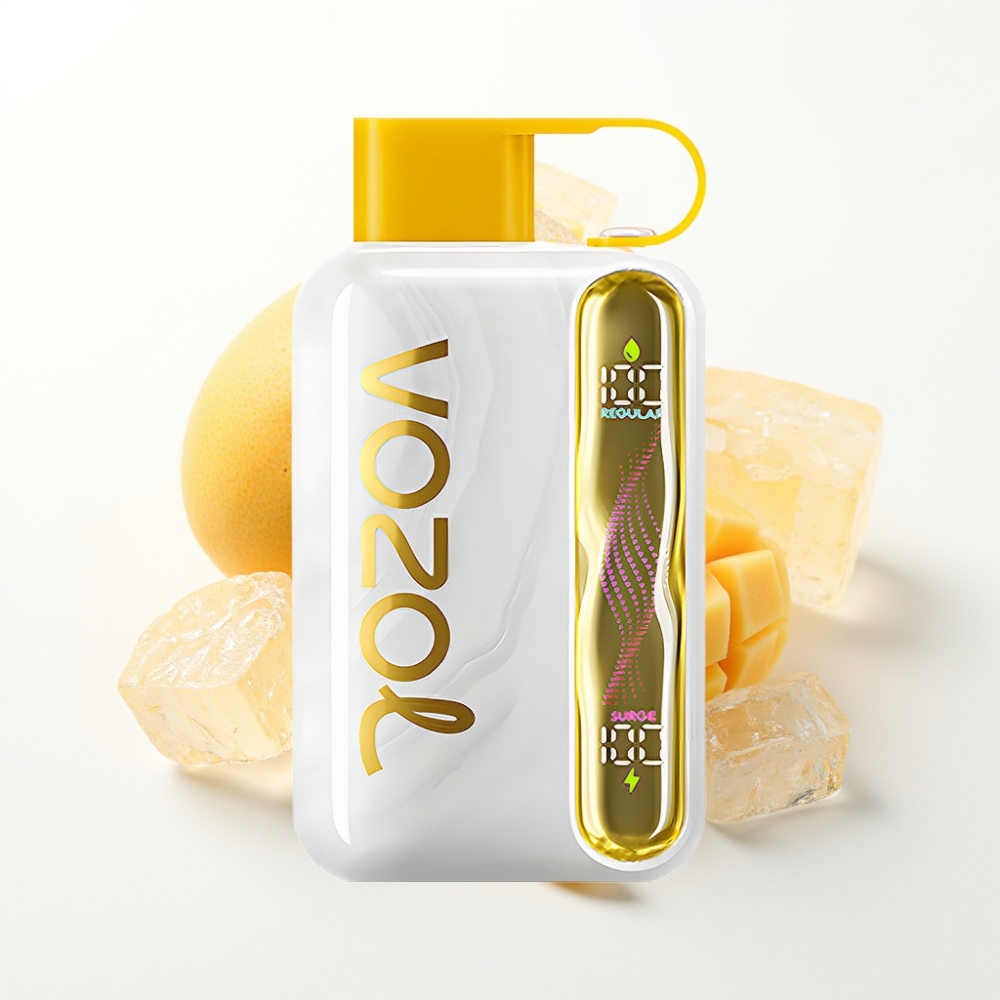 VOZOL STAR 40000 Puffs Disposable Vape Mango Ice 1000mAh Type-C
