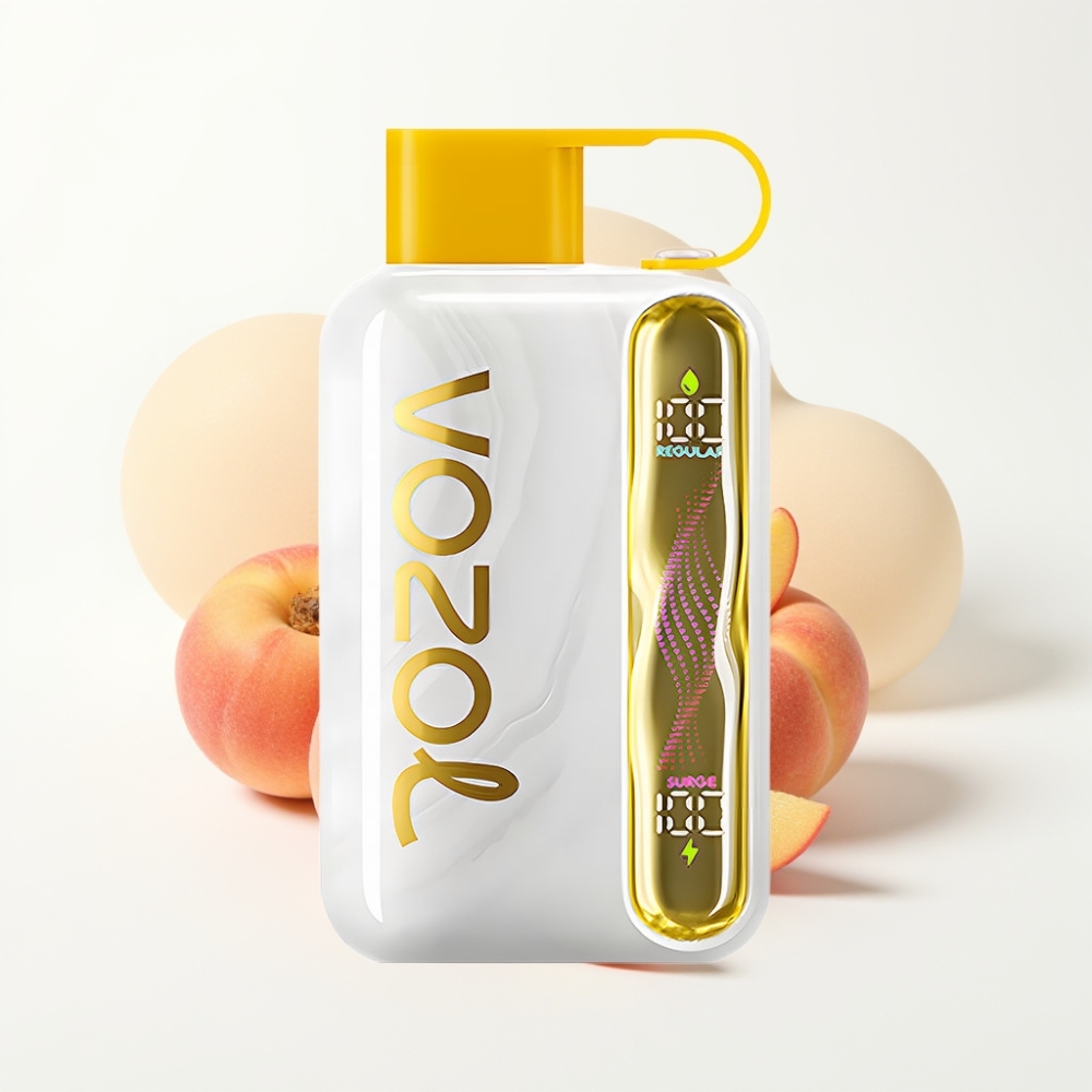 VOZOL STAR 40000 Puffs Disposable Vape Mango Peach 1000mAh Type-C