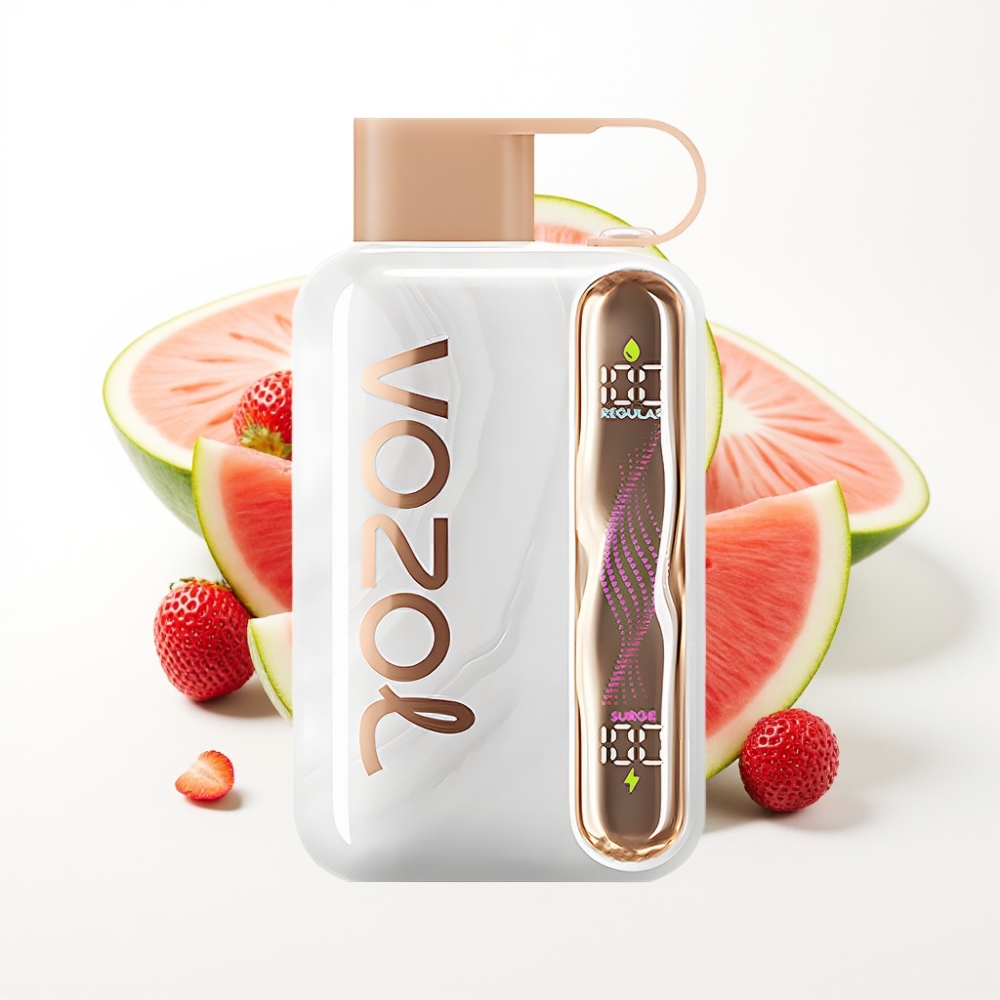 VOZOL STAR 40000 Puffs Disposable Vape Strawberry Watermelon 1000mAh Type-C