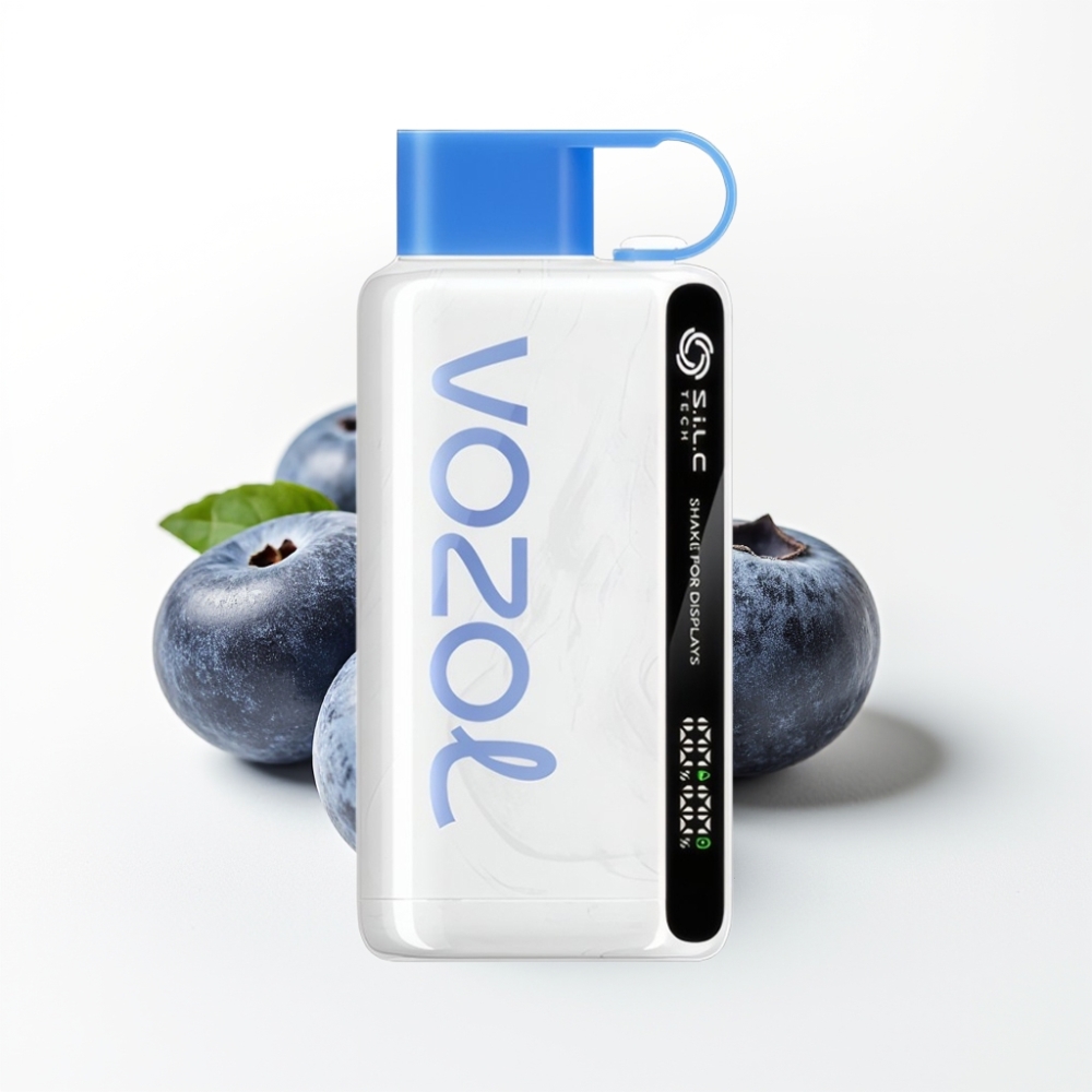 VOZOL STAR 9000/12000 Disposable Vape Blueberry Storm with S.i.L.C TECH & 650mAh Fast Charge