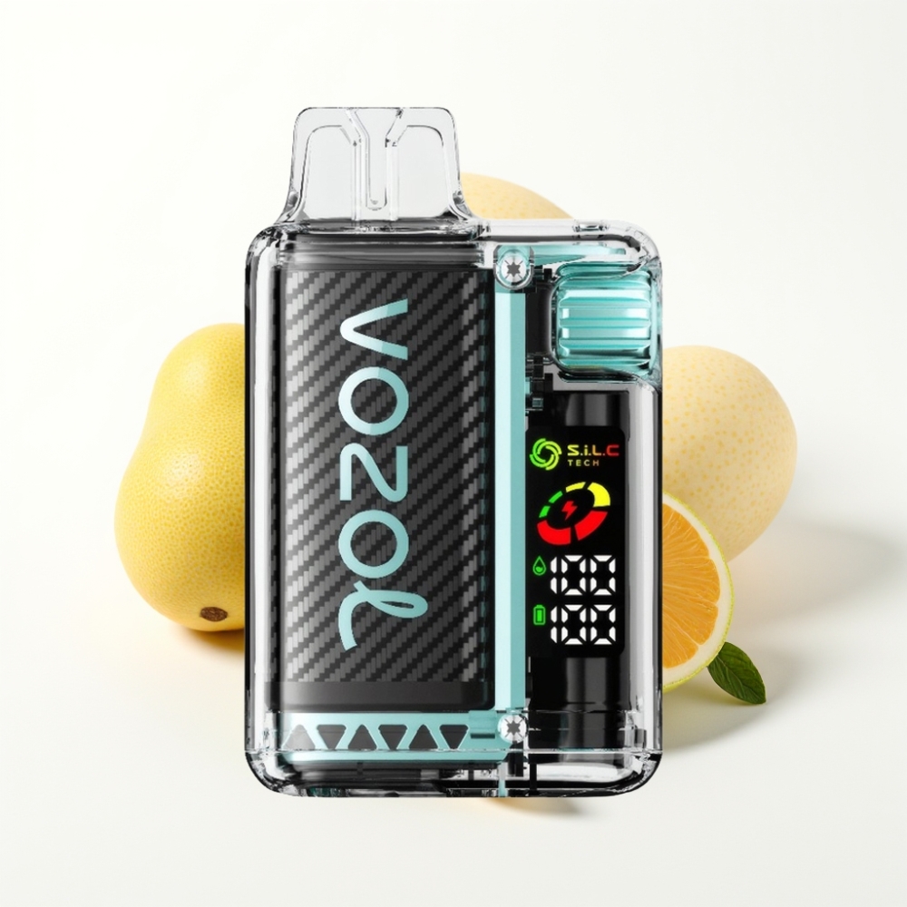 VOZOL Vista 20000 Puffs Miami Mint Disposable Vape with OLED & Dual Mesh Coil