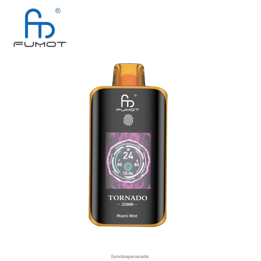 Fumot Disposable Vape - Fumot Tornado 25000 Disposable Vape Miami Mint BTPRN48